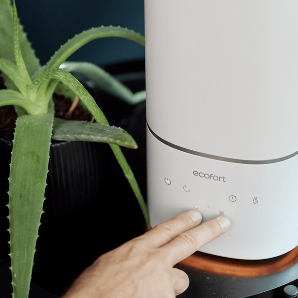 ecoQ HumidAir U400+ Luftbefeuchter mit Ultraschall-Technologie, Hygrostat und 7-farbigem Stimmungslicht.