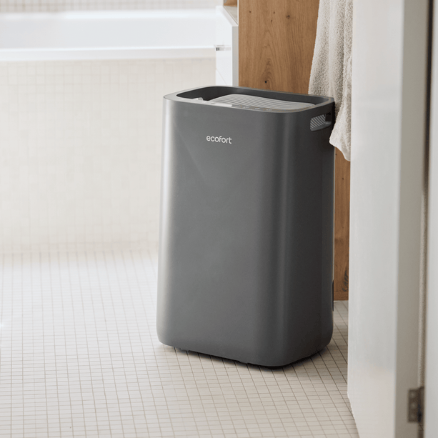 ecoQ DryAir 20L Energy Saver – Cool Gray, leistungsstark, sparsam und leise, ideal für Räume bis 50 m², TCS Testsieger