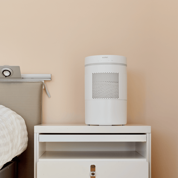 Für frische Luft in bis zu 40 m²: HumidAir E300+ überzeugt mit leisem Betrieb & waschbarem Filter – perfekt für Büro oder Kinderzimmer.