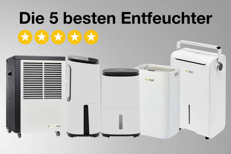 Die 5 besten Luftentfeuchter 2022