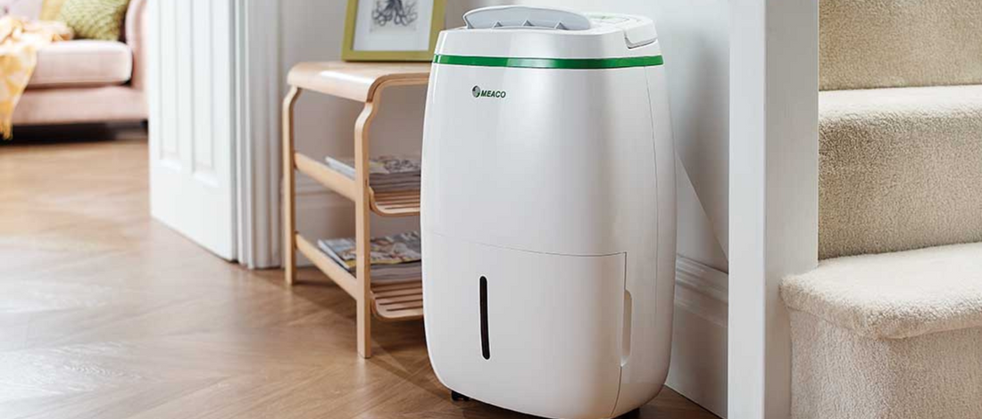 Fallstudie: Trockener Wohnkeller dank Meaco 20L Low Energy