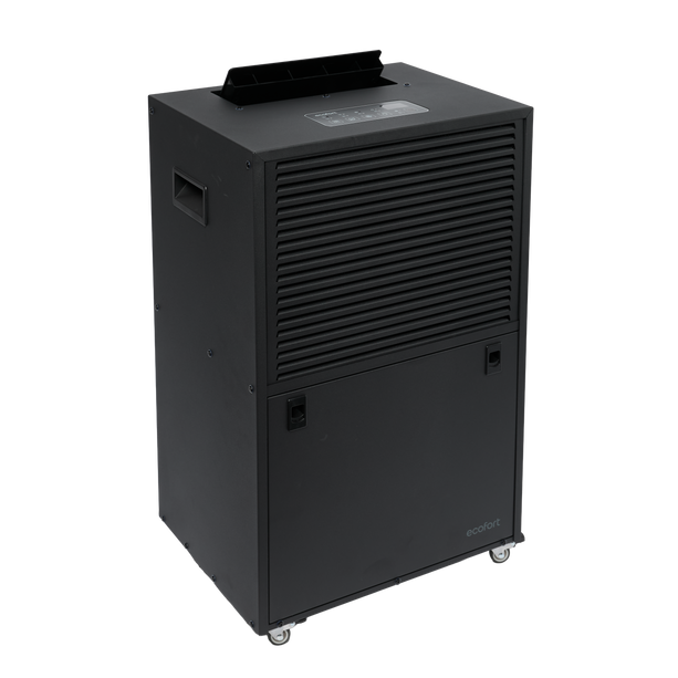 ecodry Neptun XP Black in 3/4 Ansicht mit Luftauslass und Rollen