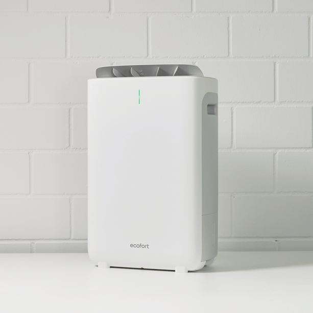 ecoQ DryAir Alpin für trockene und angenehme Raumluft