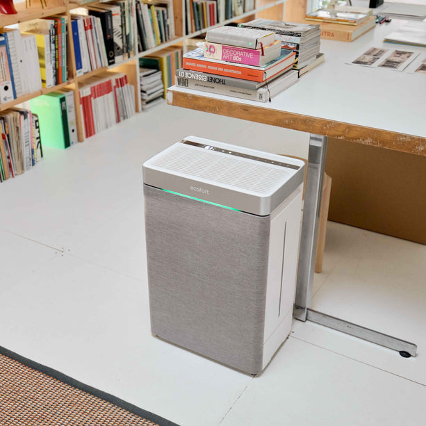 ecoQ HumidAir H1000 für saubere und angenehm feuchte Luft