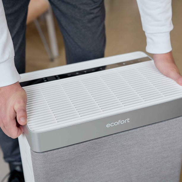 ecoQ HumidAir H1000 für trockene und belastete Raumluft