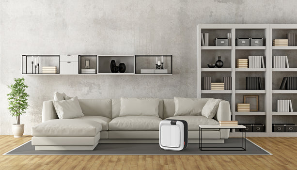 Boneco H700 HYBRID Luftbefeuchter und Luftreiniger mit Bedienung ohne App und grossem Wassertank von 10 l.