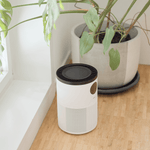 Luftreiniger ecoQ CleanAir 300+ mit Aktivkohlefilter und HEPA H13 für Allergiker geeignet.