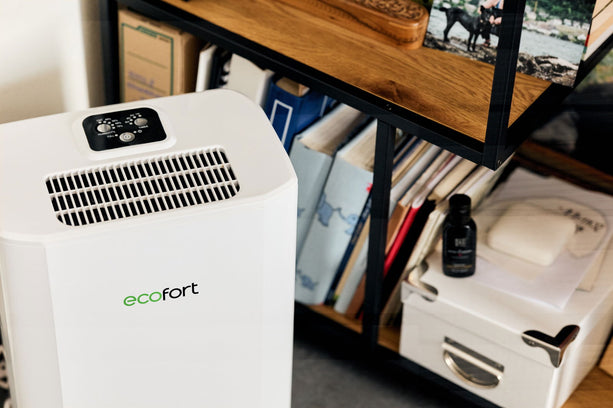 ecoQ DryAir 12L Luftentfeuchter mit Hygrostat, 12L Entfeuchtungsleistung, geeignet für Räume bis 50 m².