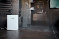 ecoQ DryAir 12L Luftentfeuchter mit Hygrostat, 12 l/24h Entfeuchtungsleistung für Räume bis 50 m².
