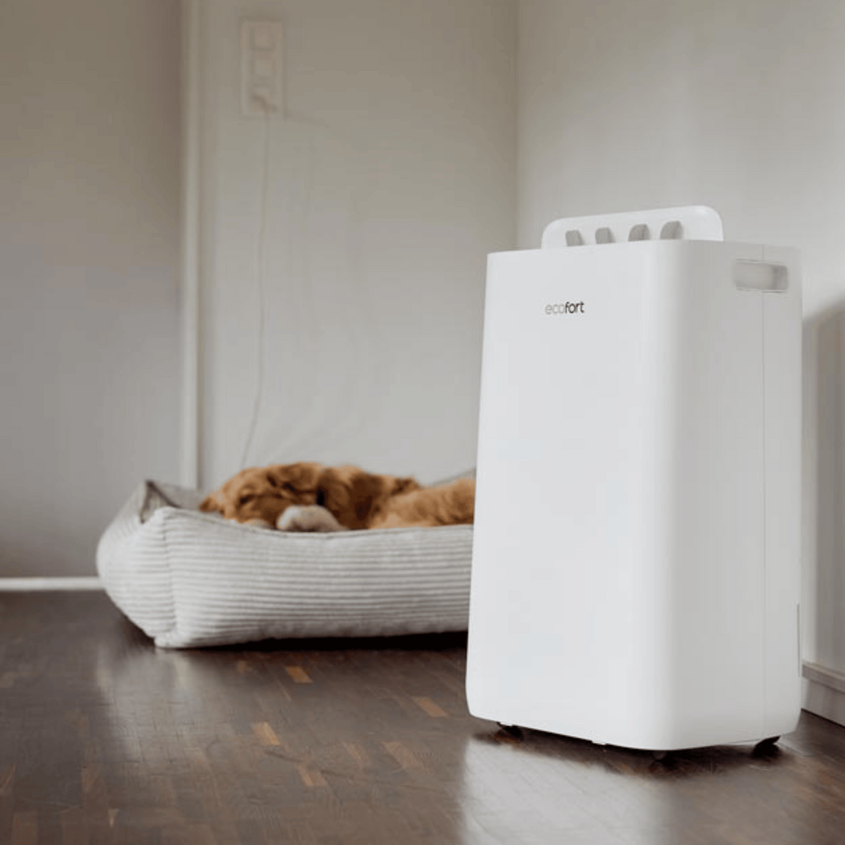 ecoQ DryAir 25L Energy Saver Complete