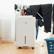 ecoQ DryAir 35L Energy Saver Luftentfeuchter, mobil, 35 l Entfeuchtungsleistung, Hygrostat, bis 85 m² Raumgrösse.