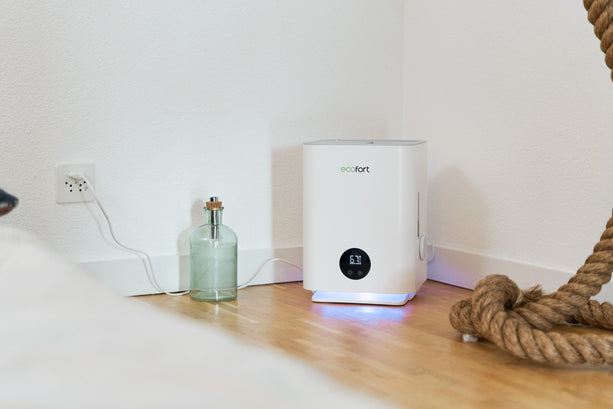 ecoQ HumidAir E250, kompakter Luftbefeuchter mit Hygrostat, 250 ml/h, ideal für Räume bis 35 m².