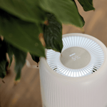 ecoQ HumidAir E600+ Luftbefeuchter mit 4 Betriebsstufen und Hygrostatsteuerung für gesundes Raumklima.