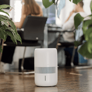 ecoQ HumidAir E600+ Luftbefeuchter mit 4 Betriebsstufen und Hygrostat-Funktion.
