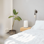 Kompakter ecoQ HumidAir U250 Luftbefeuchter mit Ultraschalltechnologie, 3 Betriebsstufen und max. 250 ml/h Befeuchtungsleistung.