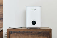 ecoQ HumidAir E250+ Luftbefeuchter mit zwei Betriebsstufen, Auto-Mode und UV-Licht Technologie.