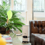 ecoQ HumidAir U1500 Luftbefeuchter mit Ultraschall-Technologie und Hygrostat für bis zu 200 m².