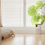 ecoQ CleanAir 300+ Luftreiniger mit Aktivkohlefilter für eine gesunde Raumluft.