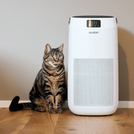 Mit UV-C-Licht & App: Der CleanVac 400+ reinigt die Luft in Räumen bis 80 m² effizient, leise und hygienisch.