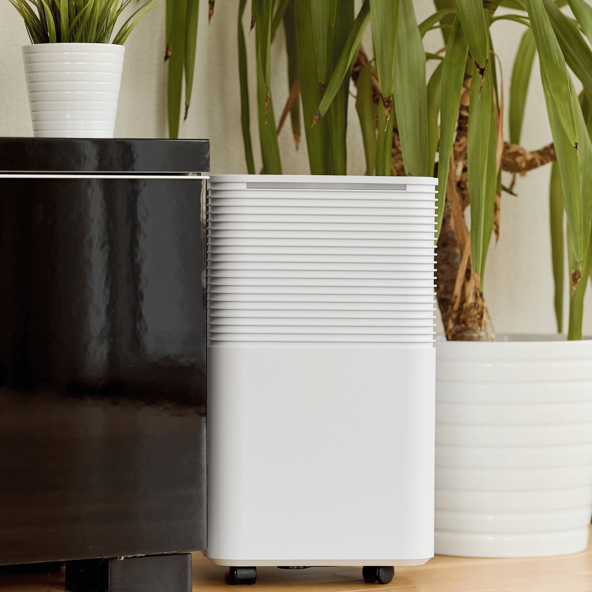 ecoQ DryAir 12L Essential | Leiser & Kompakter Luftentfeuchter für Ihr ...