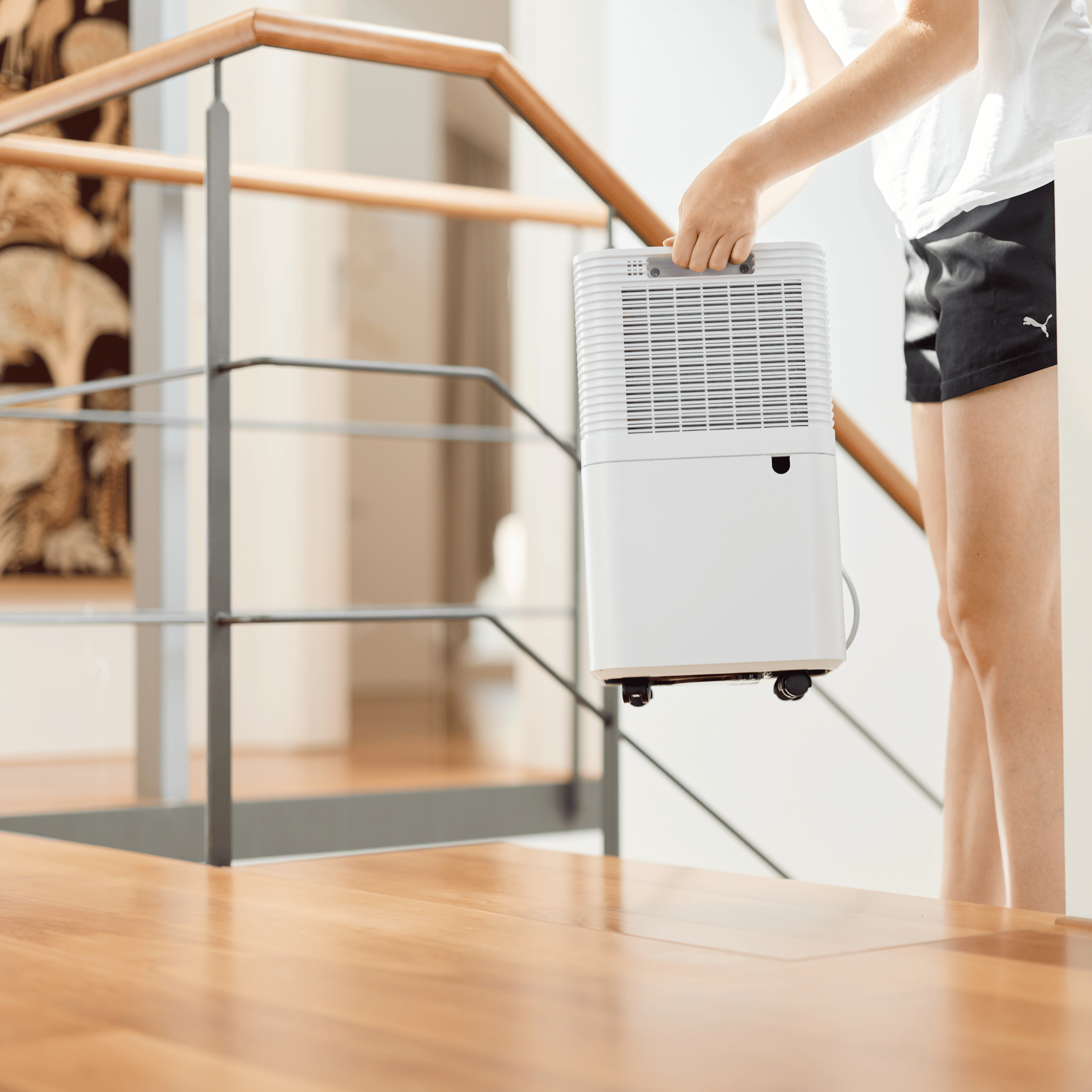 ecoQ DryAir 12L Essential | Leiser & Kompakter Luftentfeuchter für Ihr ...