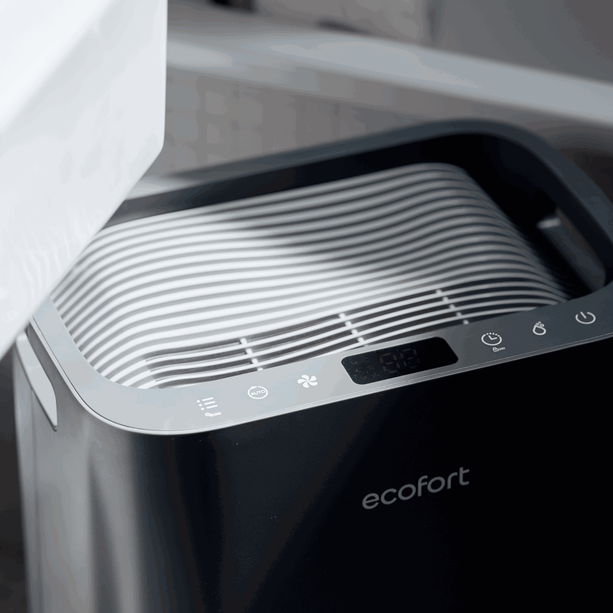 ecoQ DryAir 20L Energy Saver – Cool Gray, energieeffizient und leise, eleganter Testsieger TCS, für Räume bis 50 m²