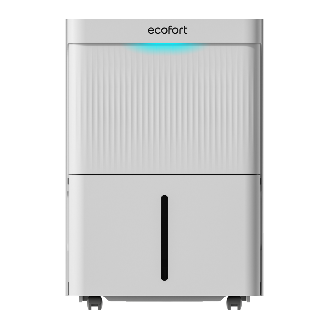 ecofort – Da fühl ich mich zuhause | Raumklima & Haushalt | ecofort.ch