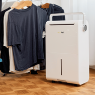 ecoQ DryAir 35L Luftentfeuchter mit Hygrostat, 4 Betriebsstufen und 3 Ventilationsstufen, ideal bis 85 m².
