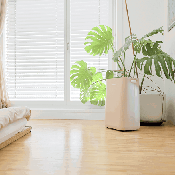 ecoQ DryAir 20L Energy Saver – Warm Sand, energieeffizient, extra leise, starker Testsieger TCS, ideal für Räume bis 50 m²