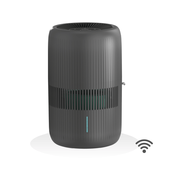 ecoQ HumidAir E600+ Black: Smarter Luftbefeuchter für bis zu 80 m² – leise, leistungsstark & energieeffizient mit App-Steuerung.