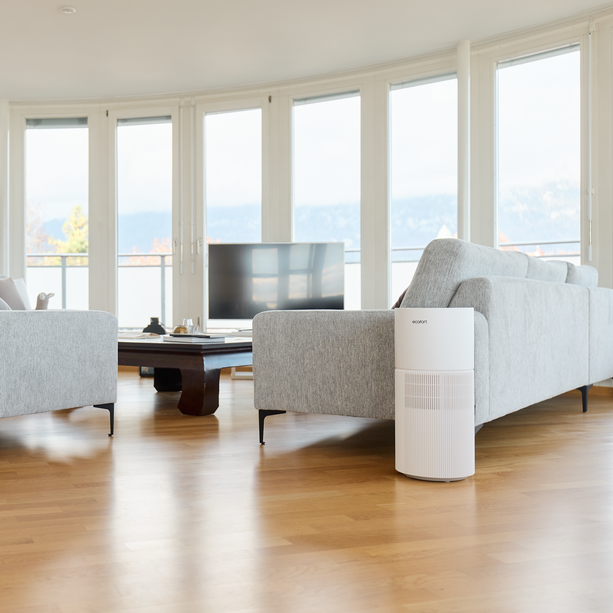 ecoQ HumidAir E900 – hygienische Befeuchtung mit AquaPure & UV