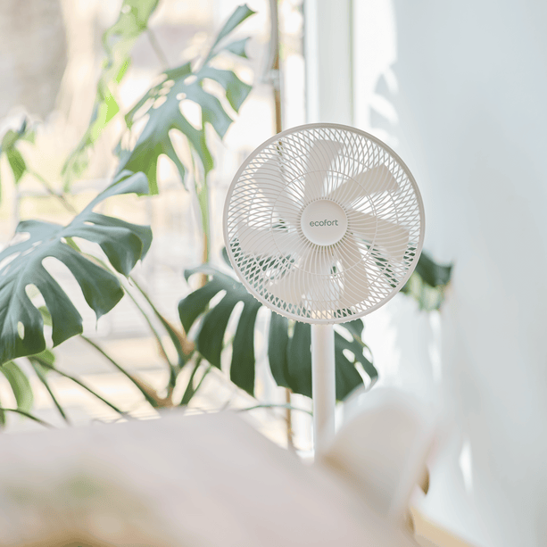 ecoQ SilentAir Due+ – Tisch-, Boden- und Standventilator in einem Gerät, leiser Gleichstrommotor und Akku für bis zu 30 h Betrieb