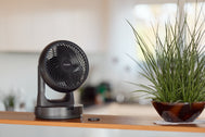 ecoQ SilentAir Tavo in Schwarz, Tischventilator mit Smart-Modus, vertikaler und horizontaler Schwenkfunktion.
