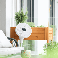 ecoQ SilentAir Uno Standventilator mit höhenverstellbarem Design und ultra-leisem Betrieb für optimalen Komfort
