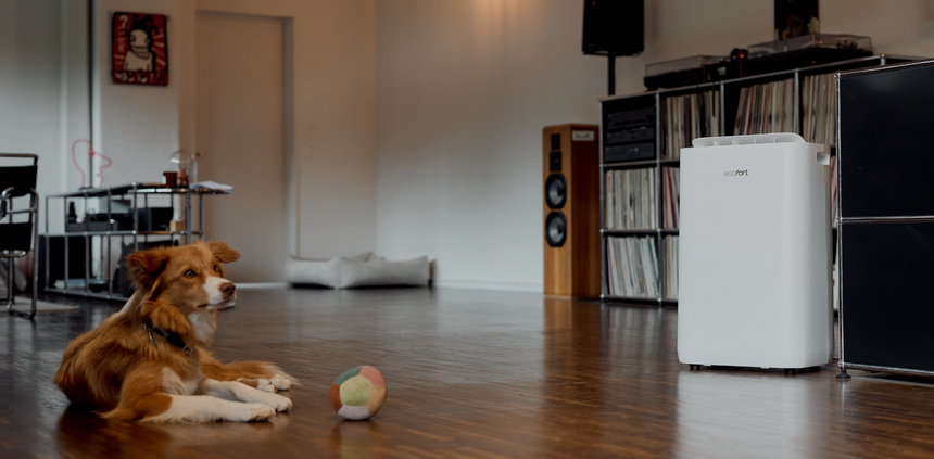 ecofort Luftentfeuchter im Wohnzimmer und süssem Hund