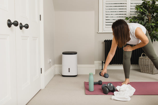 Meaco Arete® One 12L Luftentfeuchter, mobil mit HEPA-Filter und einfacher Bedienung, optimal für Räume bis 30 m².