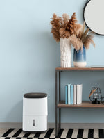 Meaco Arete® One 12L mit HEPA-Filter und Hygrostat für effektive Entfeuchtung.