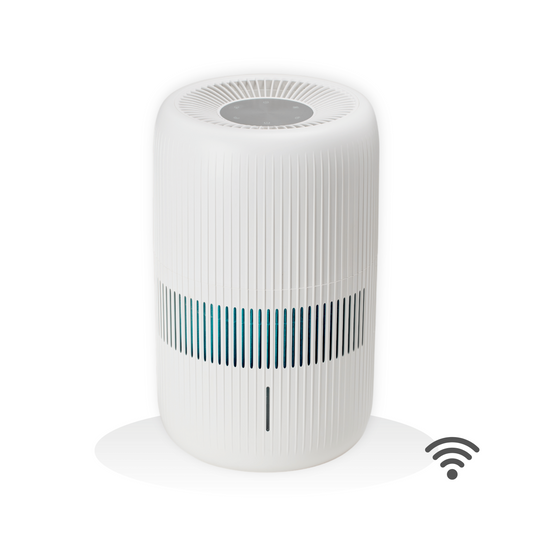 Luftbefeuchter ecoQ HumidAir E600+ mit 4 Betriebsstufen und Hygrostatsystem in einem modernen Raum.