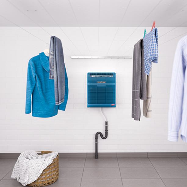 Secomat 6 Azurblau: Effizientes Trocknen für mehrere Haushalte. Appgesteuert, energieeffizient und platzsparend – Komfort für alle Nutzer.