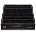 Winix T1 HEPA Filter mit AOC Aktivkohlefilter und PM2.5 Feinstaubfilter für Luftreiniger.