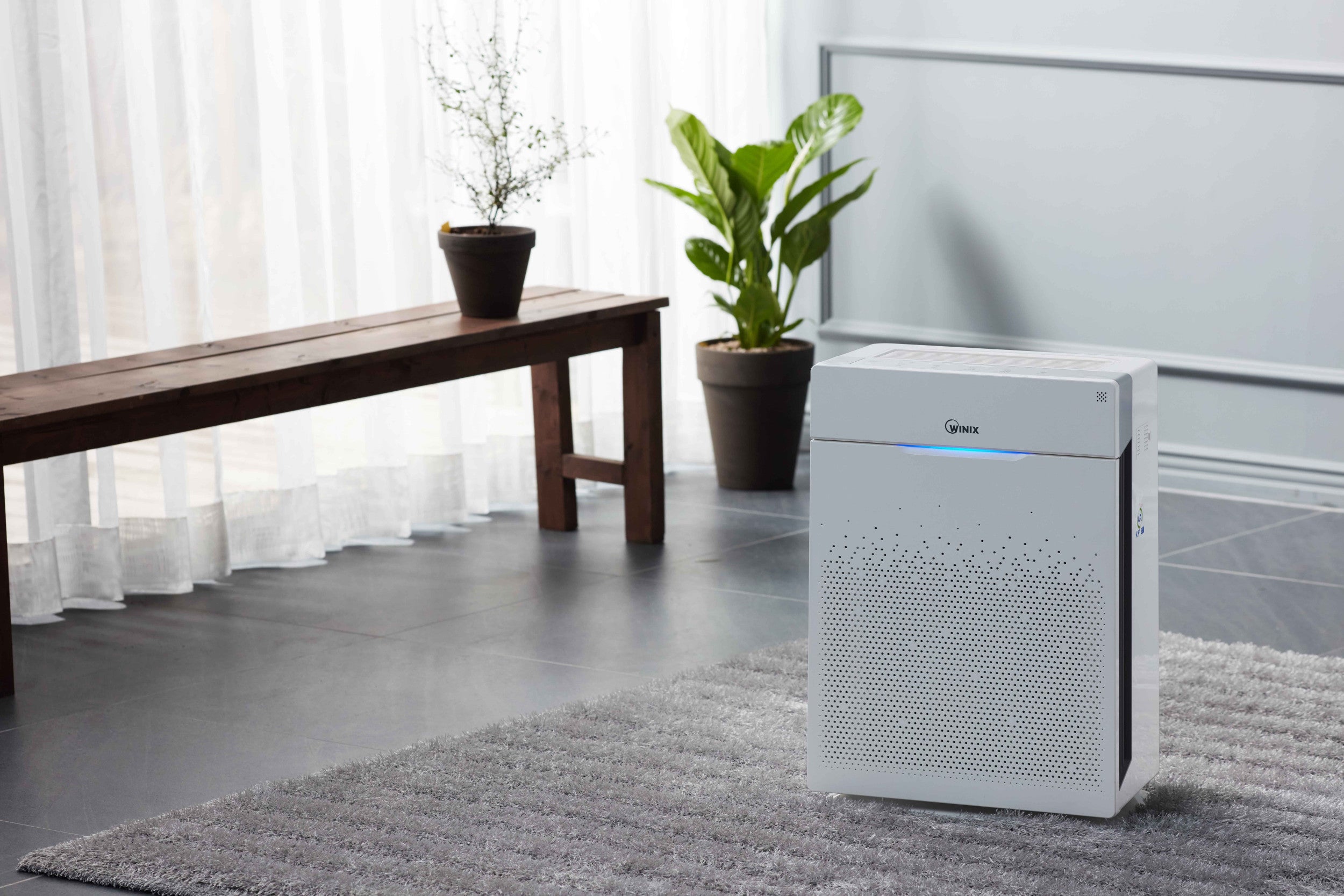 PUREBURG Ersatzfilter Für Winix XQ / XQ Pro Tower Luftreiniger – 2x HEPA H13 Filter + 2x Aktivkohlefilter – Kompatibel Mit Filter X
