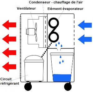 Comment fonctionne un déshumidificateur à condensation