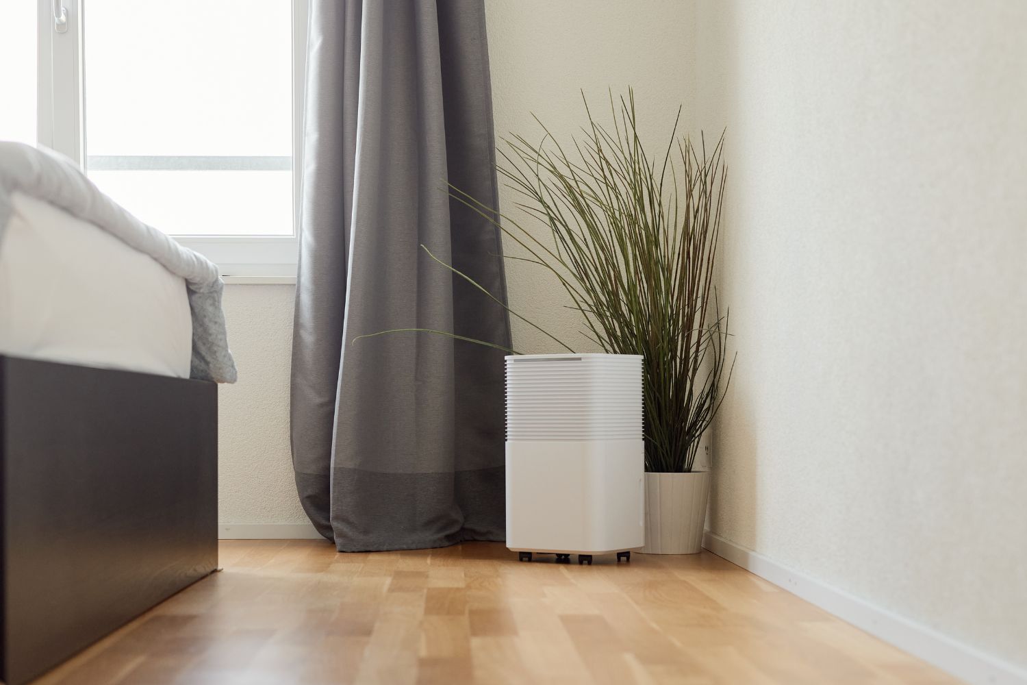 ecoQ déshumidificateur de chambre à coucher